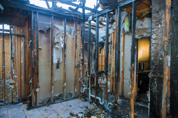 Professional Smoke Damage Removal technician working in Pikesville, MD