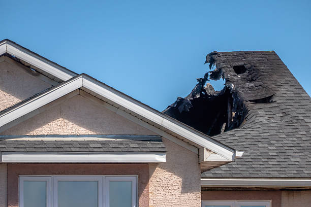 Top rated local Smoke Damage Removal specialists in Pikesville, MD